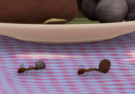 27 – Latas y hormigas